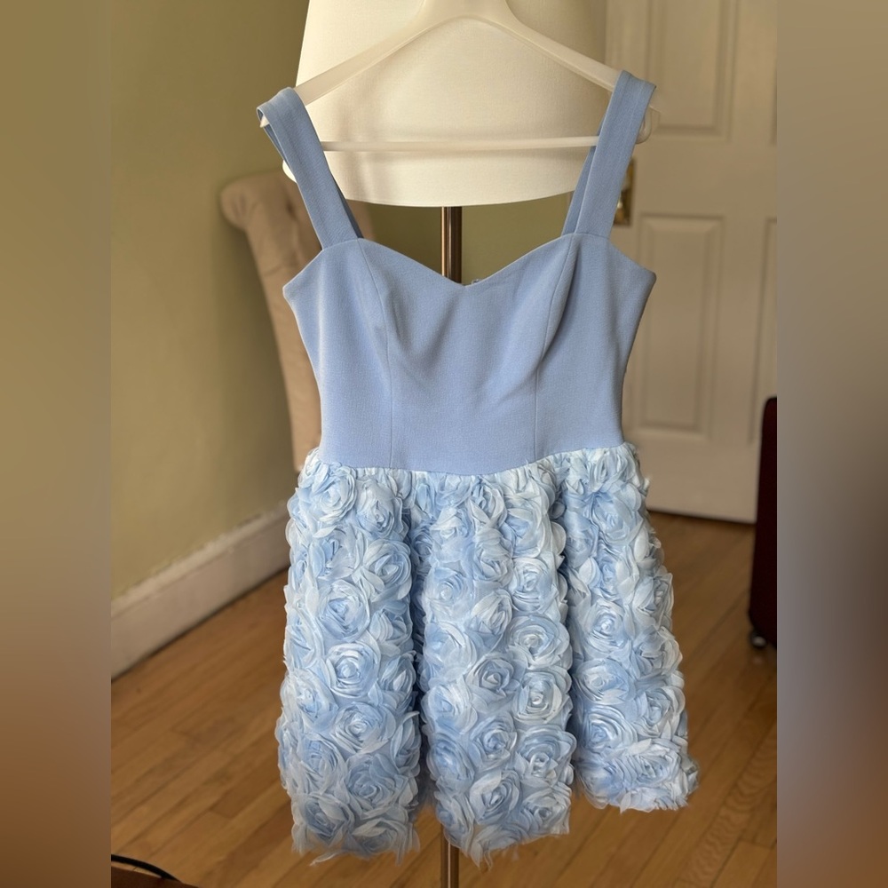 Dress the Population Sky Blue Sleeveless Dress